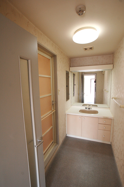 Washroom. Stylish spacious vanity storage plenty to get on well in the morning ready