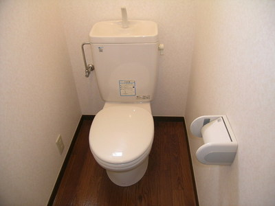 Toilet. There shelf in toilet! Since the window there is a ventilation is easy to