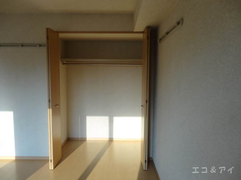 Other room space. LDK next to Western-style closet