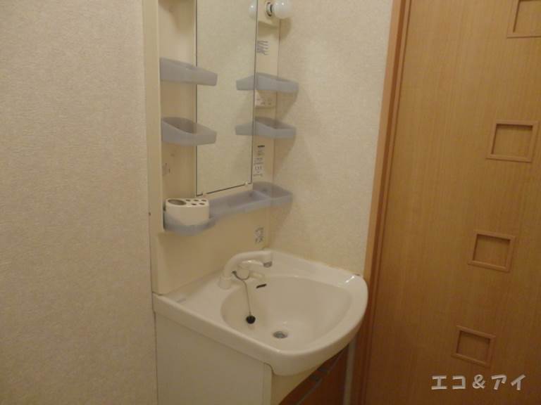 Washroom. Shampoo dresser