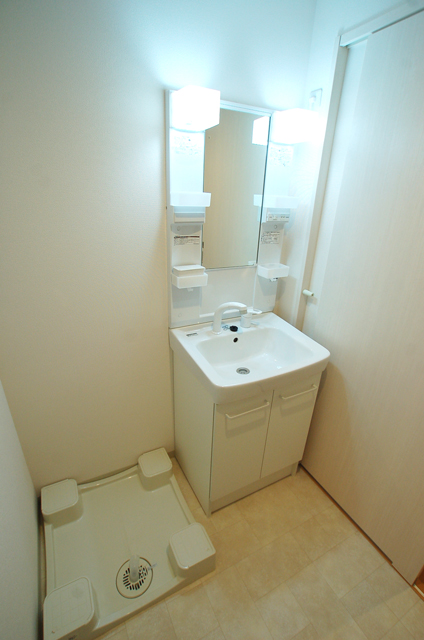 Washroom. Your laundry can also wash undressing room of room Convenient Shampoo dresser