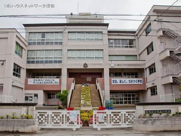 Primary school. 1000m to Koshigaya Tatsusagi after elementary school