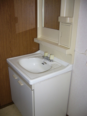 Washroom. Bathroom vanity