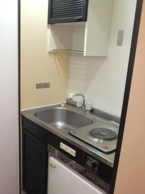 Kitchen. It was organized in a compact, It is an electric stove and a mini-refrigerator with kitchen