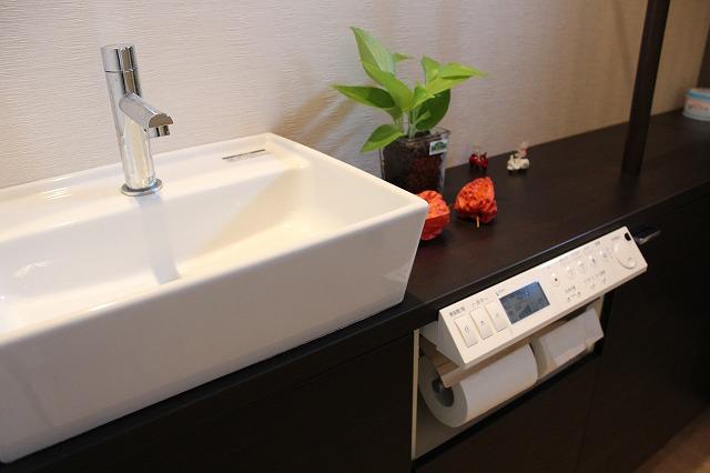 Toilet. Vanity space in the toilet