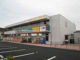 Dorakkusutoa. Drag Seimusu Koshigaya Osato 194m until the pharmacy (drugstore)
