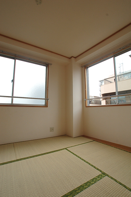 Other room space. Space for relaxation bright two-sided lighting of the Japanese-style room