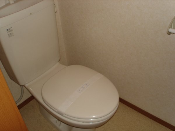 Other. Toilet is also wide in addition to the. 