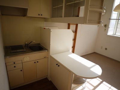 Kitchen. Mini kitchen counter.