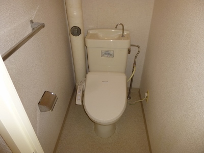 Toilet. Hot water cleaning function with toilet seat