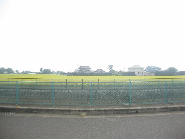 View photos from the dwelling unit. Rice fields of the south side across the road is one side. You calm.