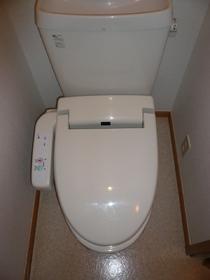 Toilet. Bidet