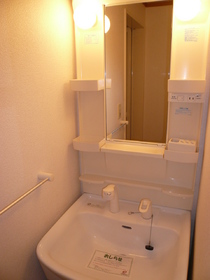 Washroom. Shampoo - dresser -