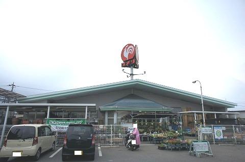 Home center. Komeri Co., Ltd. hard & Green iris store up (home improvement) 1400m