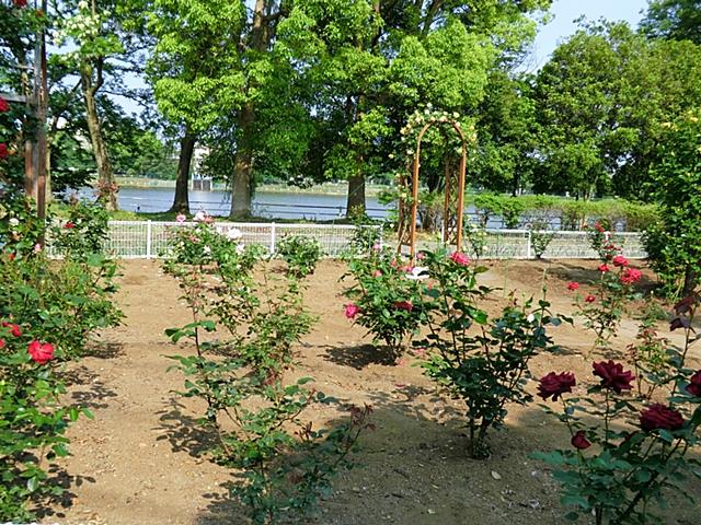 park. Until Tsurudai park 1466m