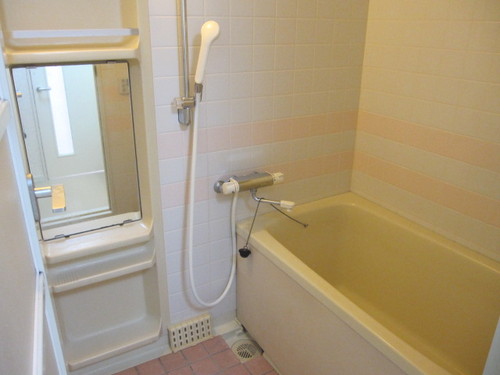 Bath. Bathroom