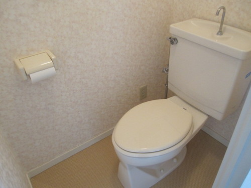 Toilet. Bathroom