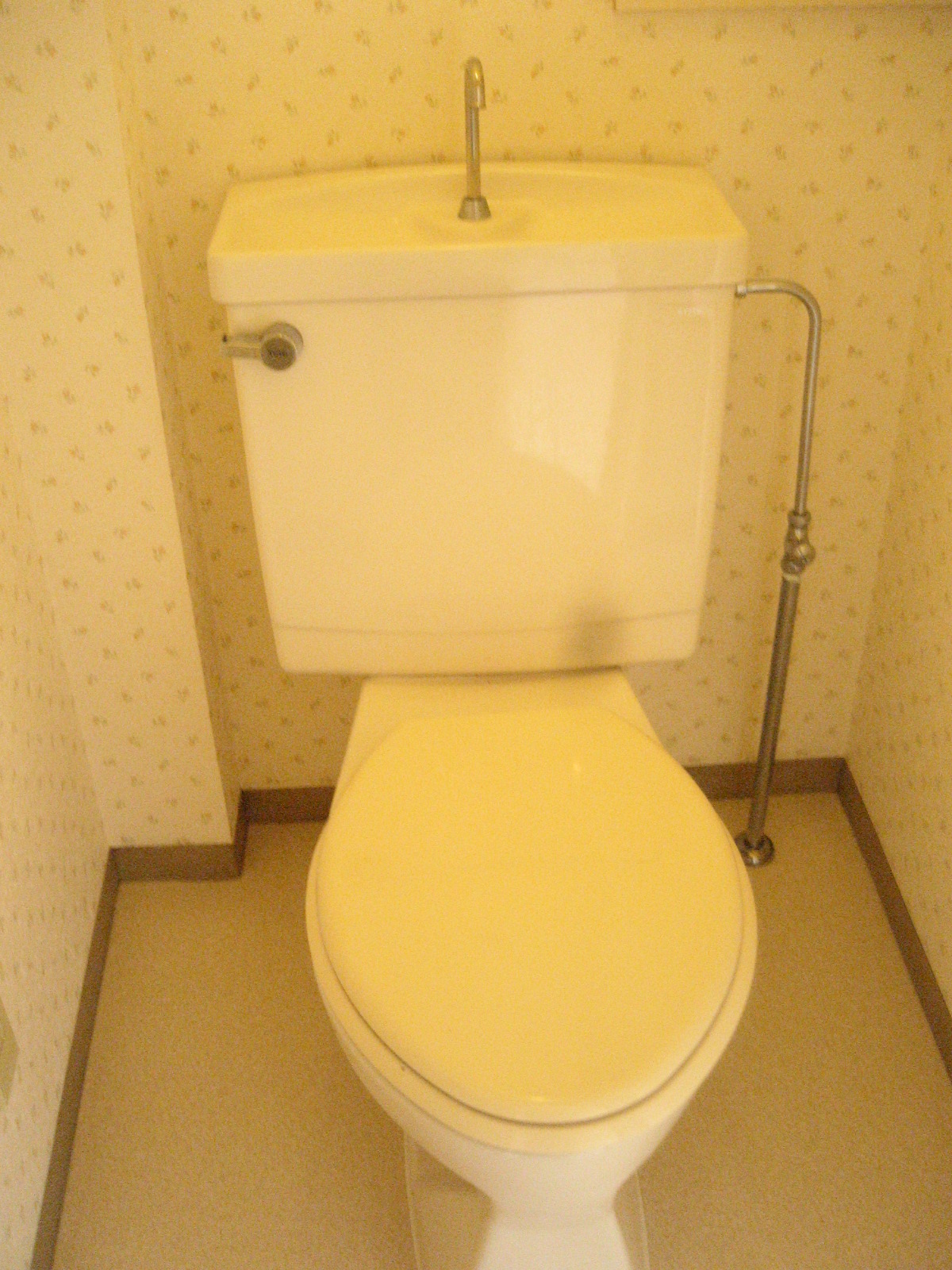 Toilet