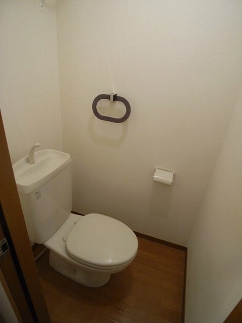 Other. Toilet