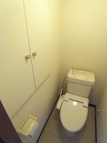 Toilet. Convenient Storage room
