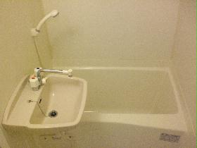 Bath. shower, Wash basin, With bathroom dryer