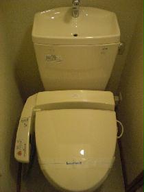 Toilet. Warm water washing toilet seat