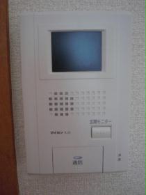 Other. Intercom with color monitor