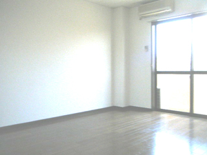 Living and room. Spacious LDK is with storage