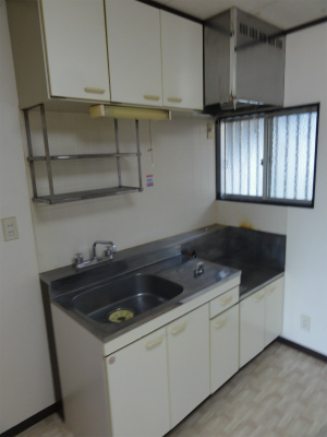 Kitchen. Gas stove is a corresponding type spacious kitchen