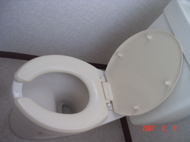 Toilet