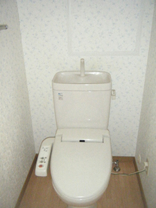 Toilet. It is with a bidet