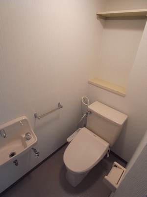 Toilet. Washlet toilet