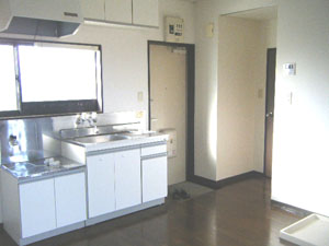 Kitchen. Kitchen (with spacious sink)