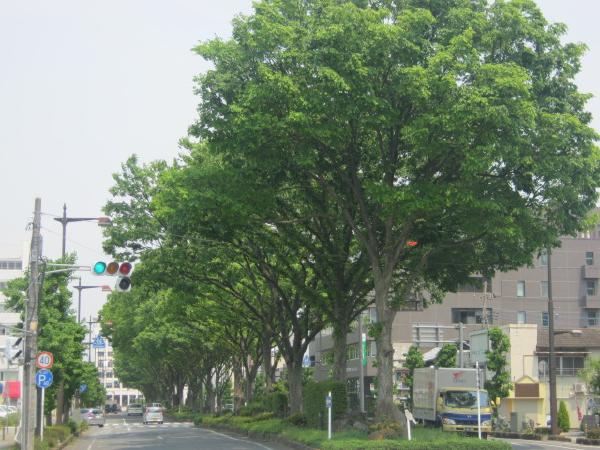 Other. 800m to City Hall Street (Other)