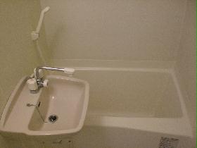 Bath. shower, Wash basin, With bathroom dryer