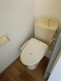 Toilet. Washlet Installed