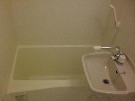 Bath. shower, Wash basin, With bathroom dryer