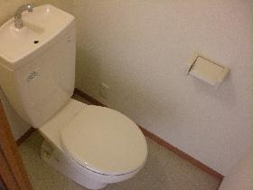 Toilet. Washing with water tray. 