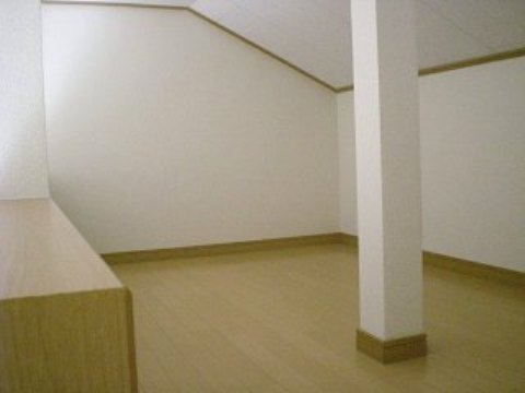 Living and room. loft