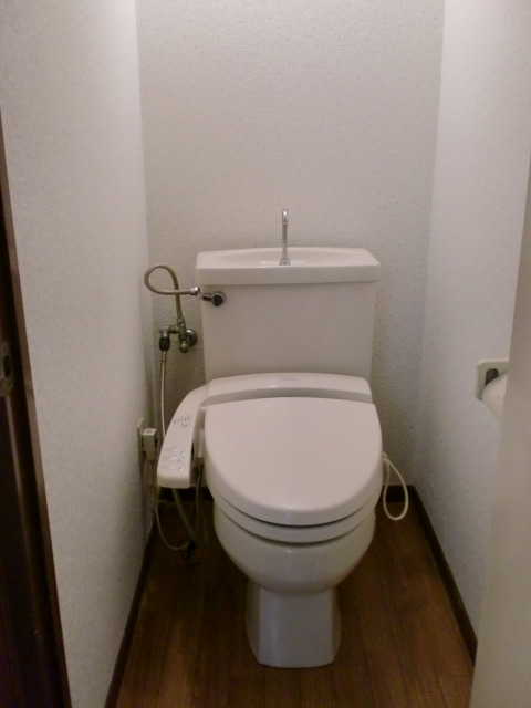 Toilet. It is with a bidet.