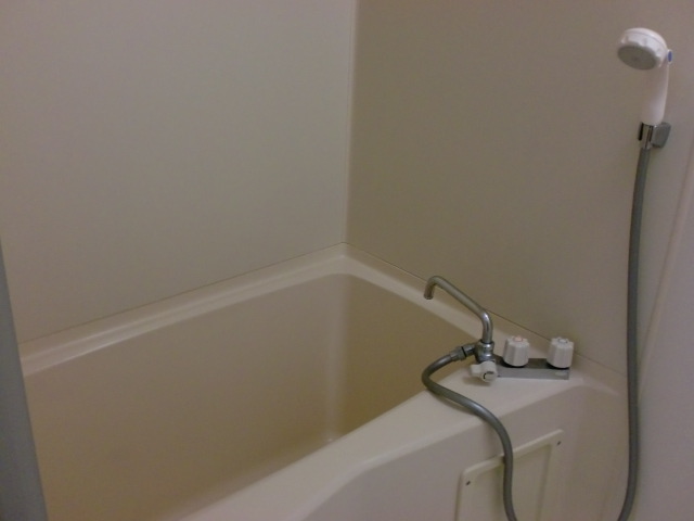 Bath. A clean bathroom