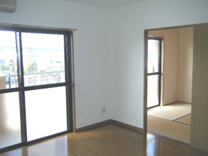 Other room space. LDK and south Japanese-style room