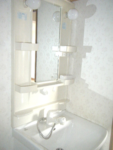 Washroom. Shampoo with Dresser