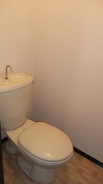 Toilet. Toilet