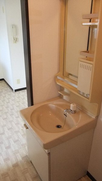 Washroom. Wash basin