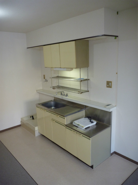 Kitchen. Spacious kitchen. It is with IH.