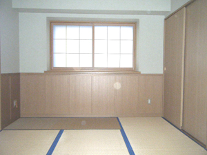 Other room space. Quaint Japanese-style room