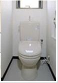 Toilet. The company specification example