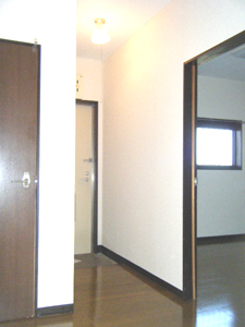 Other room space. Back is north Western-style, Entrance, Toilet.