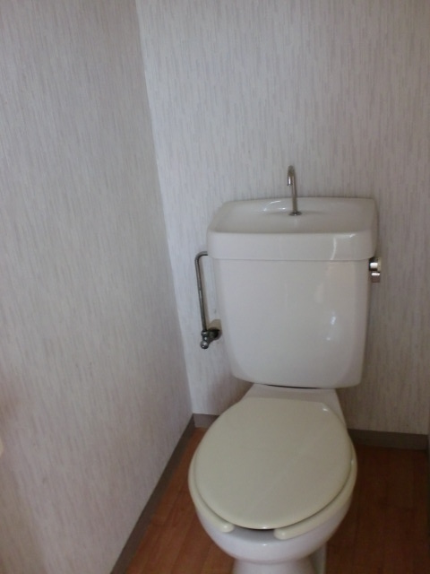 Toilet. Toilet with cleanliness